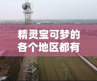 精灵宝可梦的各个地区都有各自独特的活动和任务,以下是每个地区的主要活动