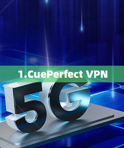 1.CuePerfect VPN