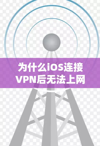 为什么iOS连接VPN后无法上网?