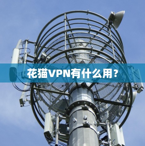花猫VPN有什么用？