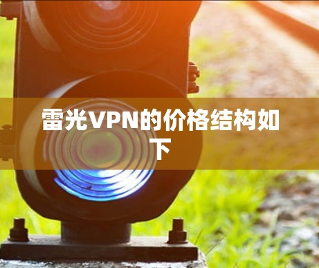 雷光VPN的价格结构如下 雷光VPN的价格结构如下