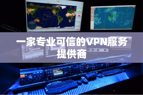 一家专业可信的VPN服务提供商 一家专业可信的VPN服务提供商