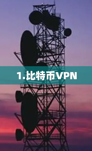 1.比特币VPN