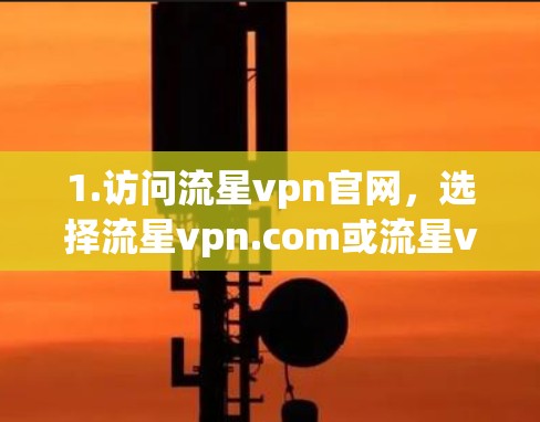1.访问流星vpn官网,选择流星vpn.com或流星vpn.net,下载并安装免费版 1.访问流星vpn官网,选择流星vpn.com或流星vpn.net,下载并安装免费版