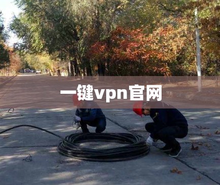 一键vpn官网 一键vpn官网