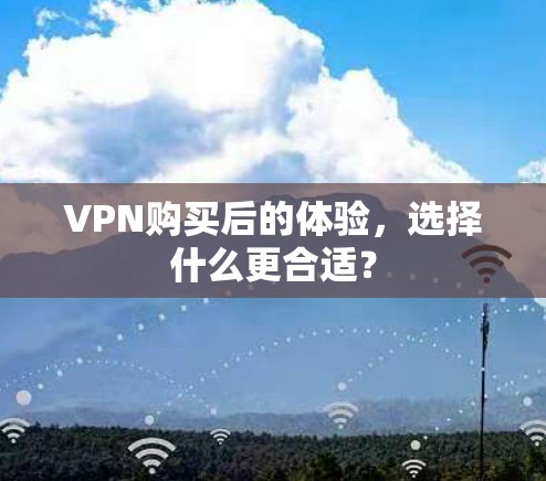VPN购买后的体验，选择什么更合适？