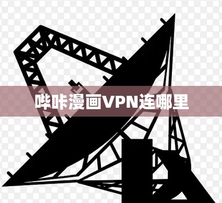 哔咔漫画VPN连哪里 哔咔漫画VPN连哪里