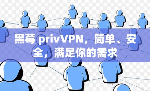 黑莓 privVPN，简单、安全，满足你的需求