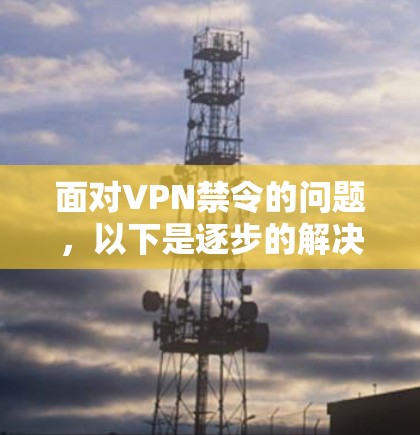 面对VPN禁令的问题，以下是逐步的解决方案