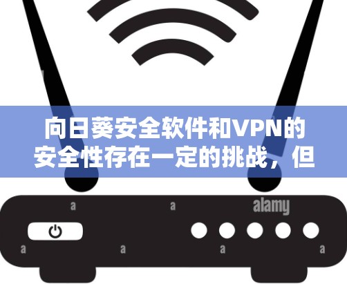 向日葵安全软件和VPN的安全性存在一定的挑战，但通过合理的理解和应对，可以有效降低潜在风险。以下是详细的分析和建议