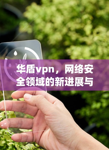华盾vpn,网络安全领域的新进展与未来展望 华盾vpn,网络安全领域的新进展与未来展望
