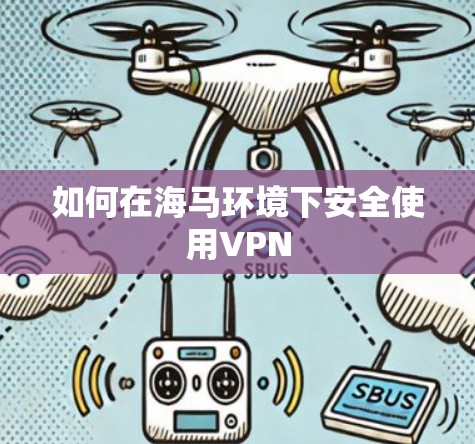 如何在海马环境下安全使用VPN