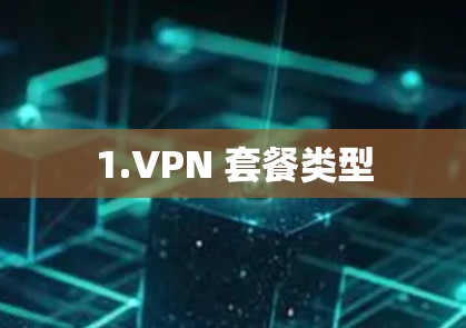 1.VPN 套餐类型 1.VPN 套餐类型