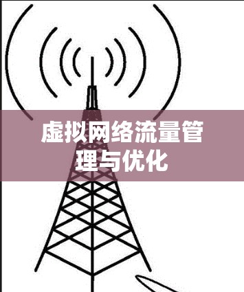 虚拟网络流量管理与优化 虚拟网络流量管理与优化
