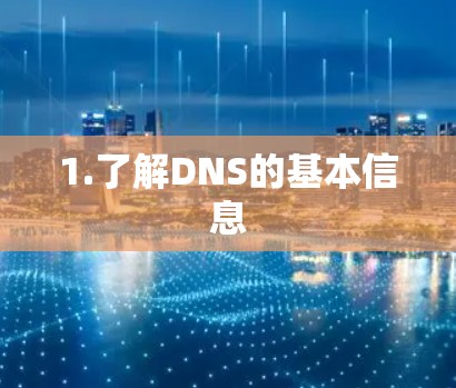 1.了解DNS的基本信息