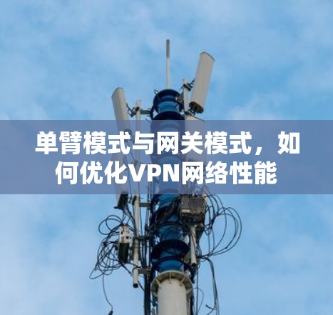 单臂模式与网关模式,如何优化VPN网络性能