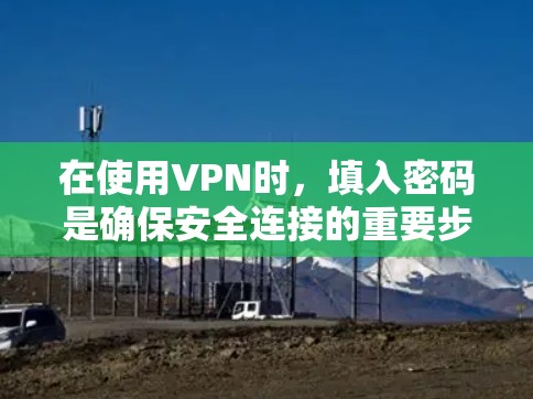 在使用VPN时,填入密码是确保安全连接的重要步骤。以下是填入密码的常见方法