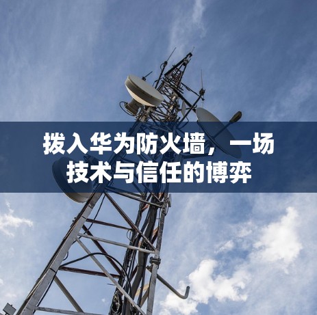 拨入华为防火墙,一场技术与信任的博弈
