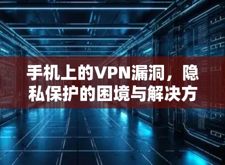 手机上的VPN漏洞,隐私保护的困境与解决方案