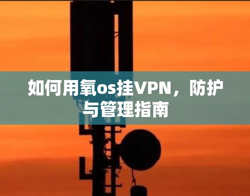 如何用氧os挂VPN,防护与管理指南