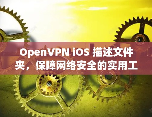 OpenVPN iOS 描述文件夹,保障网络安全的实用工具