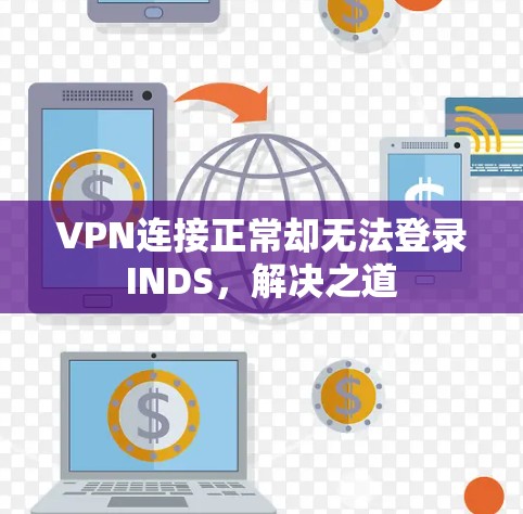 VPN连接正常却无法登录INDS,解决之道