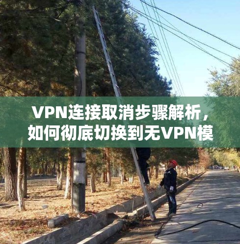 VPN连接取消步骤解析,如何彻底切换到无VPN模式