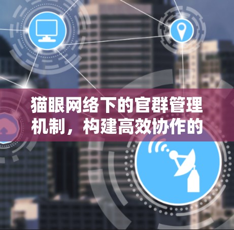 猫眼网络下的官群管理机制,构建高效协作的网络架构