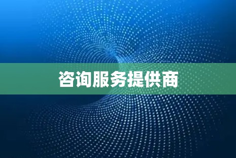 咨询服务提供商