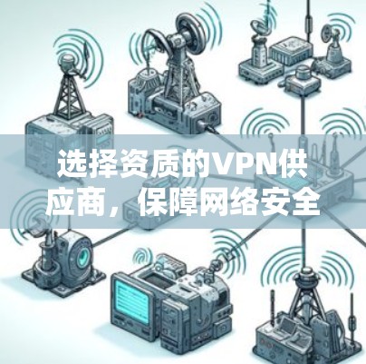 选择资质的VPN供应商,保障网络安全与合规
