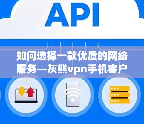 如何选择一款优质的网络服务—灰熊vpn手机客户端