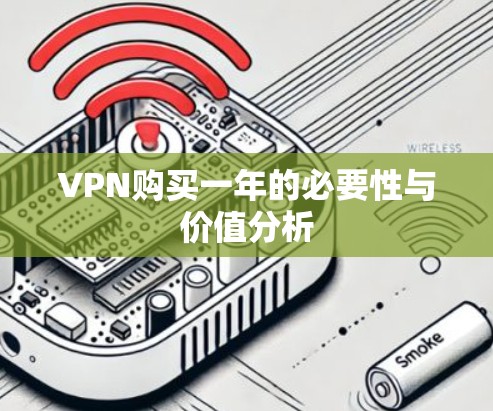 VPN购买一年的必要性与价值分析