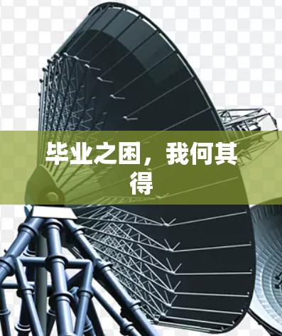 毕业之困，我何其得