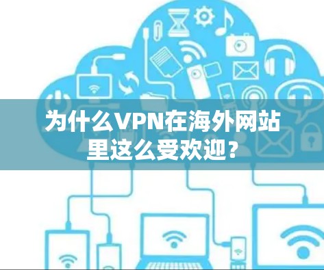 为什么VPN在海外网站里这么受欢迎？