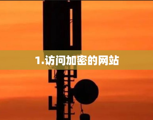 1.访问加密的网站 1.访问加密的网站