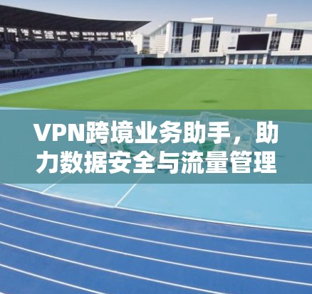 VPN跨境业务助手,助力数据安全与流量管理 VPN跨境业务助手,助力数据安全与流量管理