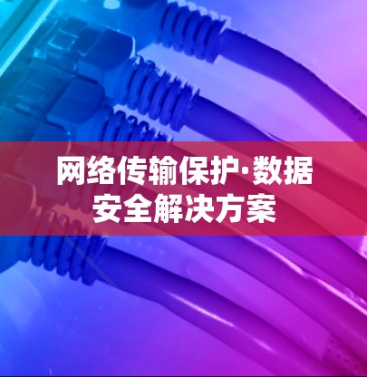网络传输保护·数据安全解决方案 网络传输保护·数据安全解决方案