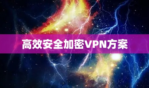 高效安全加密VPN方案 高效安全加密VPN方案