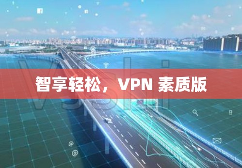 智享轻松,VPN 素质版 智享轻松,VPN 素质版