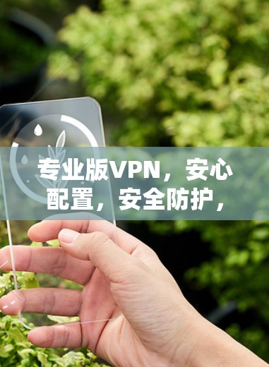 专业版VPN,安心配置,安全防护,24/7服务 专业版VPN,安心配置,安全防护,24/7服务