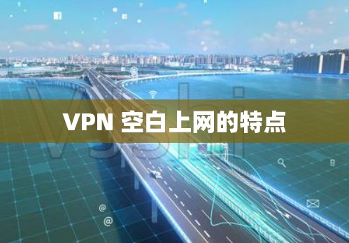 VPN 空白上网的特点
