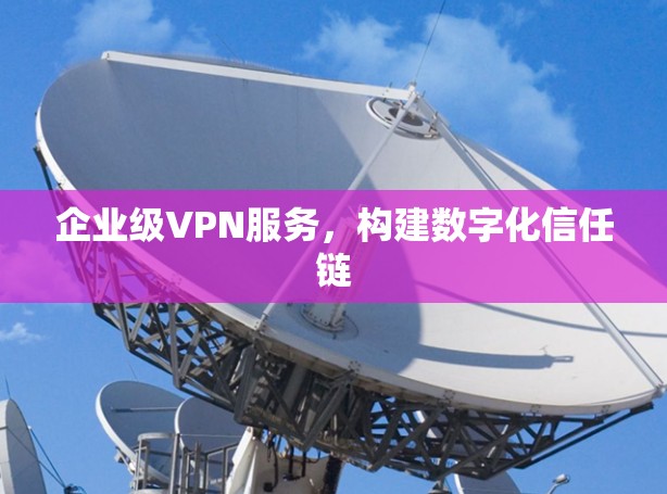 企业级VPN服务,构建数字化信任链 企业级VPN服务,构建数字化信任链