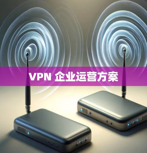 VPN 企业运营方案 VPN 企业运营方案