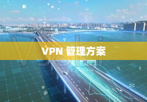 VPN 管理方案 VPN 管理方案