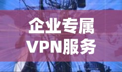 企业专属VPN服务—助力企业数据安全与网络连接