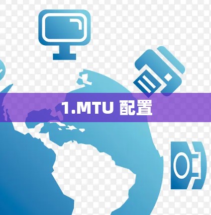 1.MTU 配置