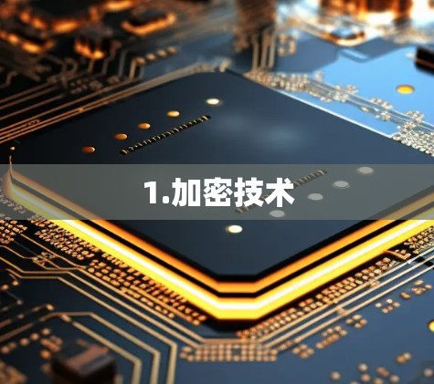 1.加密技术