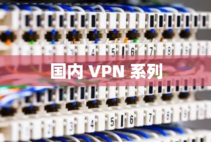 国内 VPN 系列