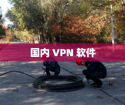 国内 VPN 软件 国内 VPN 软件