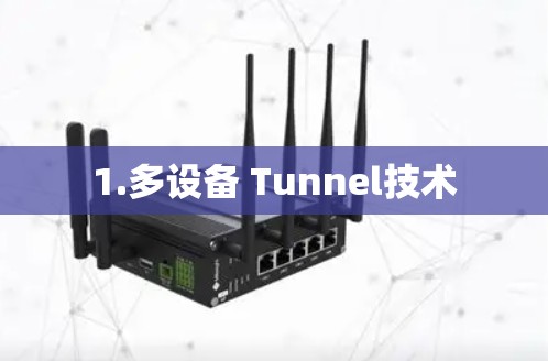 1.多设备 Tunnel技术